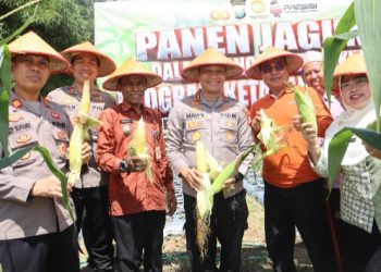 Panen Raya Jagung, Polresta Tanjungpinang & Kelompok Tani Konsisten Dukung Swasembada Pangan