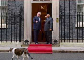 Kembali ke Downing Street, Presiden Prabowo “Disambut” Larry the Cat